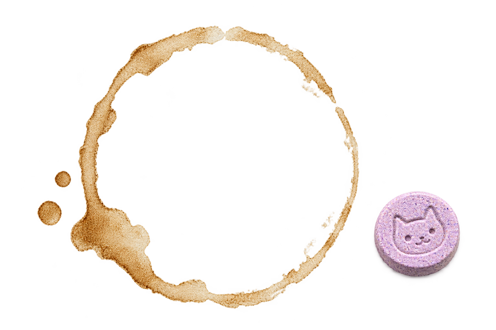 A coffee spill beside a playful cat-stamped parody pill
